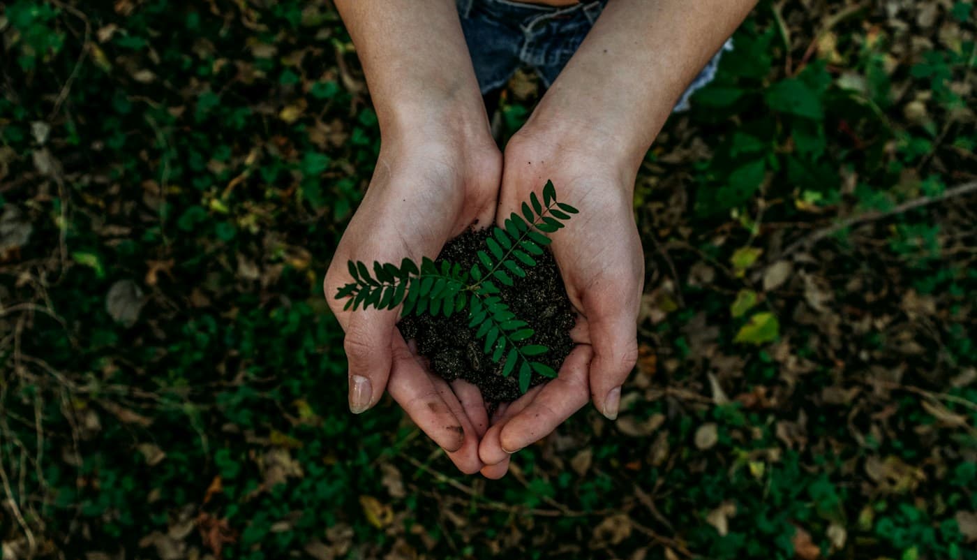 Botanical biomass and precursor research